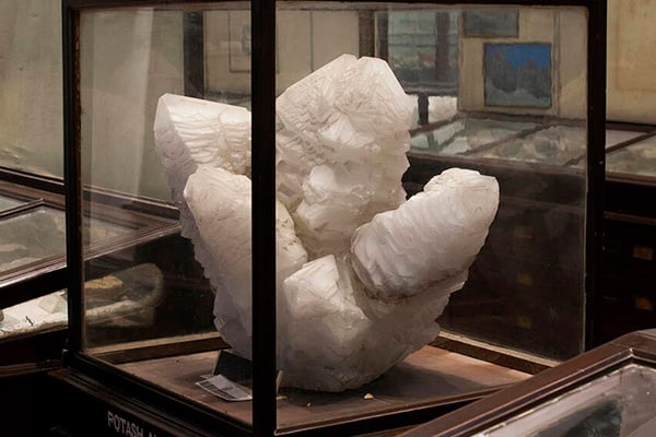 Geological-Gallery-Indian-Museum-Kolkata